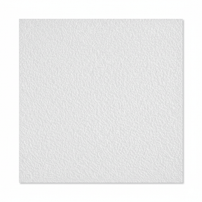 JIB Mineral Fibre Acoustic Ceiling Tile S01 – White Sandy Surface (600 × 600 mm)