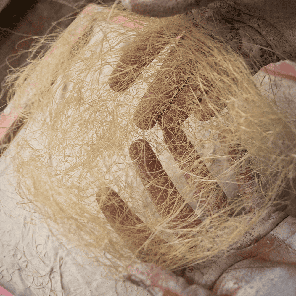 Sisal online