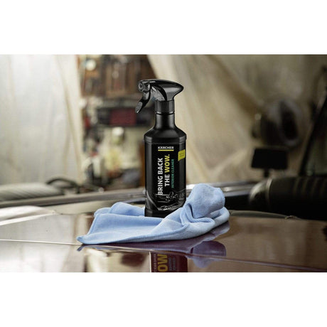 Karcher Cleaning Equipment Accessories Karcher Interior Cleaner RM 651, 500ML