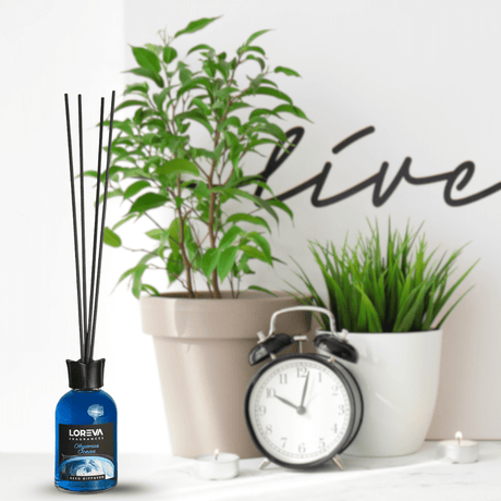 Loreva Air Fresheners & Odor Control Loreva Okyanus Ocean Reed Diffuser