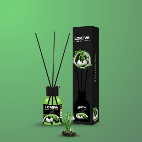 Loreva Air Fresheners & Odor Control Loreva Snow Drop Reed Diffuser