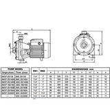 LuckyPro Centrifugal Pumps LuckyPro 2-Stage Centrifugal Pump 2.0HP, 3.0HP & 4.0HP