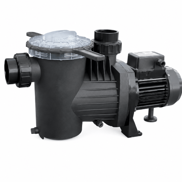 Pentax Swimming Pool Accessories & Maintenance Pentax Self Priming Swimming Pool Water - POOL2 Series