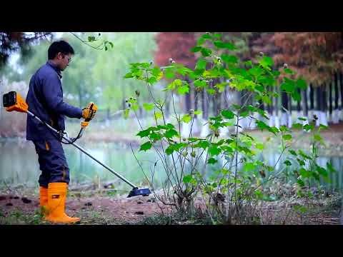 Ingco 40V Lithium-Ion Cordless String Trimmer & Bush Cutter – CSTLI20018