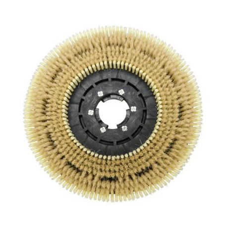 Rubi Wire Wheels & Brushes Rubi 20" Natural Fibre Brush for Rubilim-50-NDS Floor Cleaning & Polishing Machine - RUBI-60979