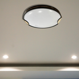 Modern LED Flush Ceiling 48W Light Black - D500