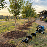 Newly planted young trees beside the inactive Wadfow WDZ1A62-2 earth auger bit at a commercial nursery