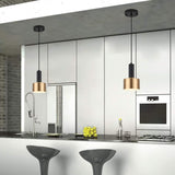 TDC Lights Lamps & Lightings Modern E27 Black Gold Pendant Ceiling Light Fixture - A43