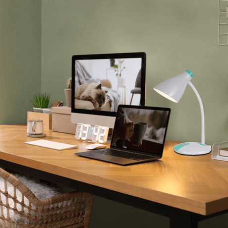 TKLD Table & Floor Lamps Adjustable Gooseneck LED Desk Lamp with Dual Colour Design