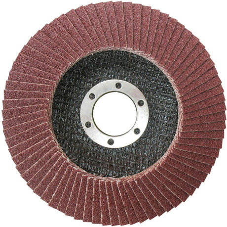 Total Grinding & Cutting Wheels Total Flap disc 115mm x 22mm