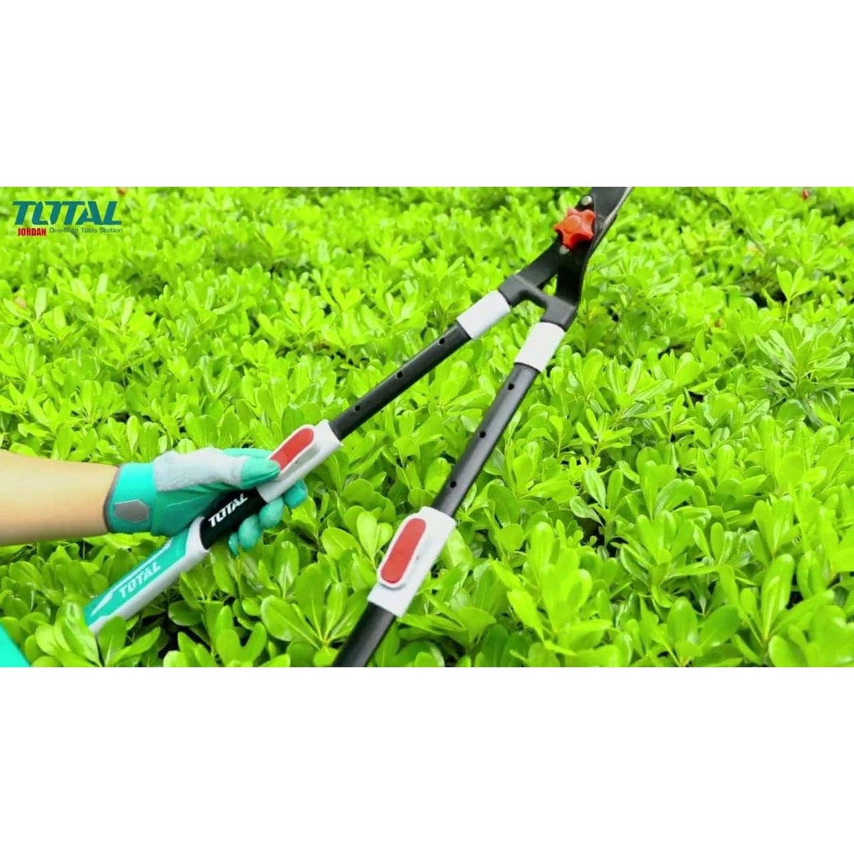 Total Gardening Tool Total Telescopic Hedge Shear - THTS1516306