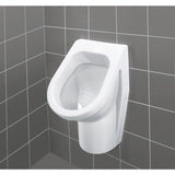 Villeroy & Boch Toilet & Urinal Villeroy & Boch Architectura Siphonic urinal Oval 355 x 385 x 620mm - 55740001