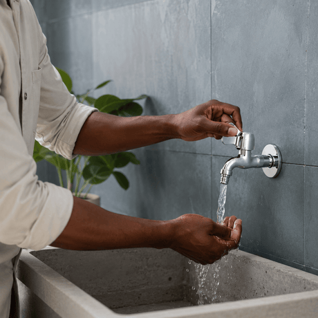 Wahkit Taps & Faucets Wahkit Chrome Wing Handle Wall Bib Tap in Zinc Alloy - K-8753