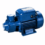WIZZ Peripheral Pumps Wizz End-Suction Peripheral Pump - WKP Series
