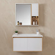 Bathroom Vanity Bathroom Vanity & Cabinets Bathroom Vanity Cabinet 900 x 480mm - T-9579
