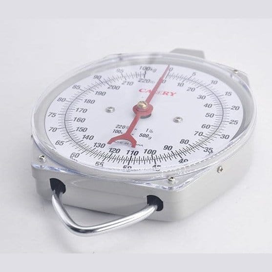 Camry Digital Meter Camry Dial Hanging Scale